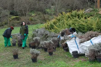 Mujeres trabajando en labores de jardiner&iacute;a.
