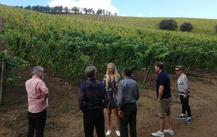 Una visita de prescriptores a una bodega de la DO R&iacute;as Baixas.