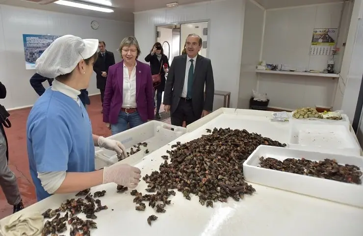 La conselleira Rosa Quintana y el presidente de la Autoridad Portuaria Enrique Losada en su visita a los locales del Puerto de A Coru&ntilde;a.