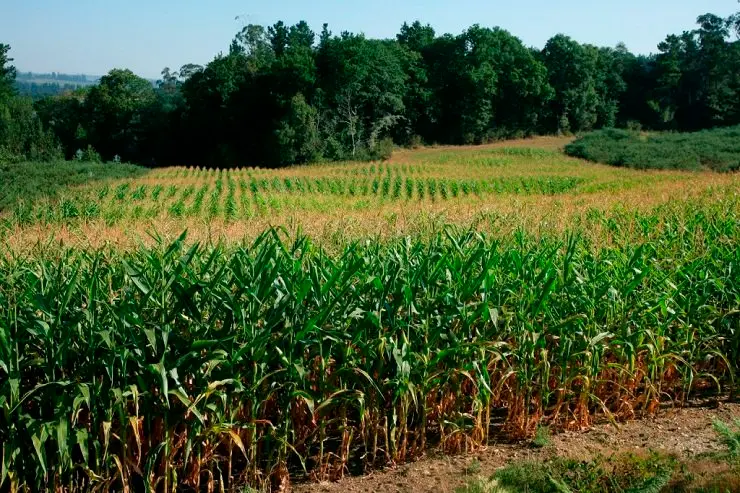 Fincas restauradas por Erimsa en Frades, en la comarca de Ordes.