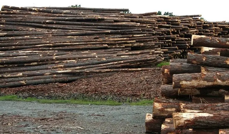 Las ayudas apoyar&aacute;n proyectos de segunda transformaci&oacute;n de la madera, carpinter&iacute;a, f&aacute;bricas de muebles y contract.