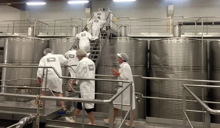 Visita a una bodega de R&iacute;as Baixas.