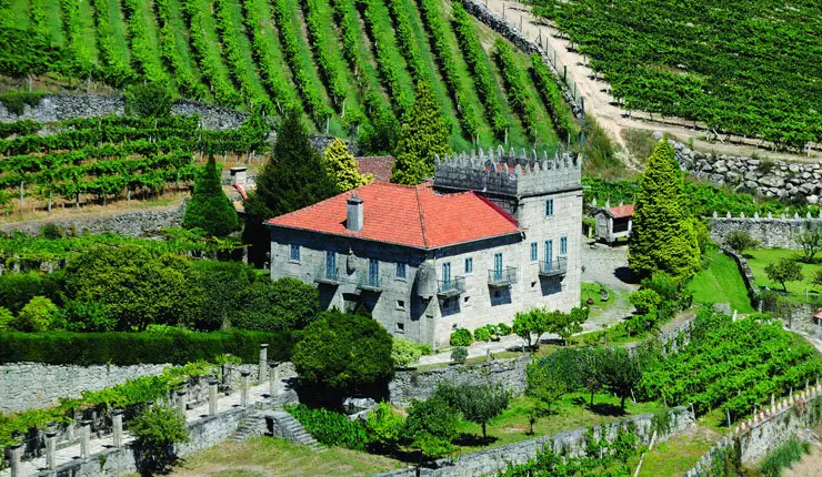Vi&ntilde;edos de Bodegas Marqu&eacute;s de Vizhoja.