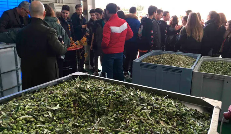 Estudiantes del IES Otero Pedrayo de Ourense han visitado la f&aacute;brica de Aceites Abril para conocer el funcionamiento de la almazara.