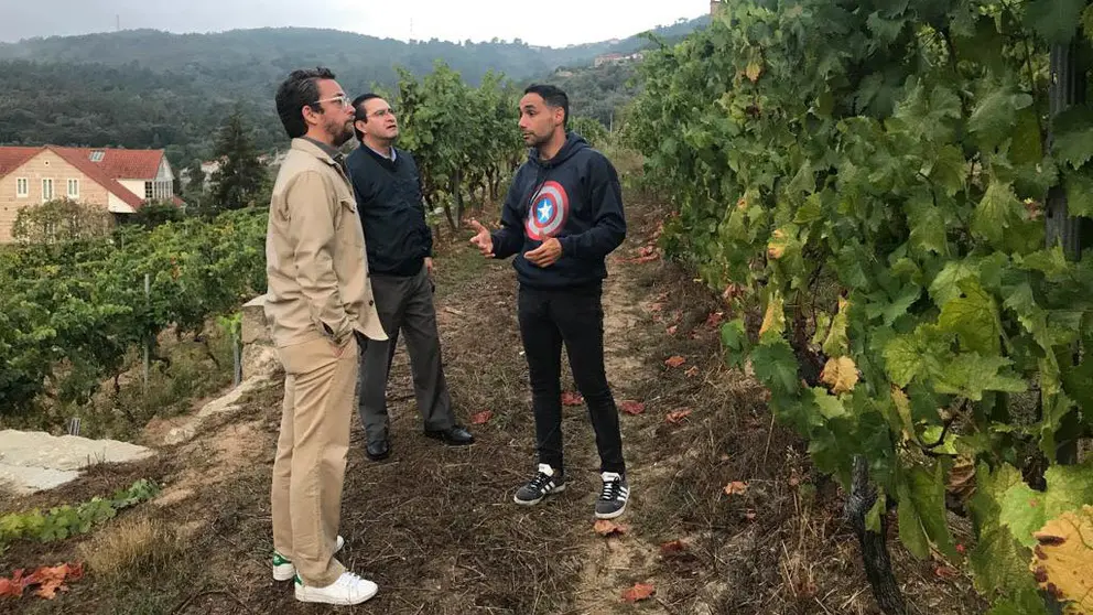 Importadores mexicanos, en un vi&ntilde;edo de la D.O. Ribeiro.