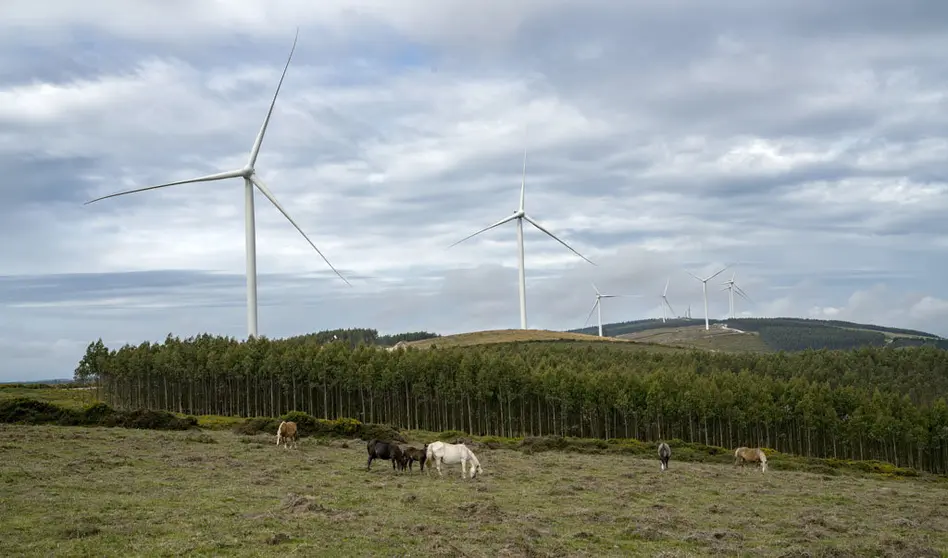 Uno de los parques e&oacute;licos de Norvento en la provincia de Lugo.
