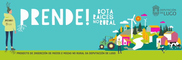 Imaxe do programa de emprego xuvenil da Deputaci&oacute;n de Lugo.