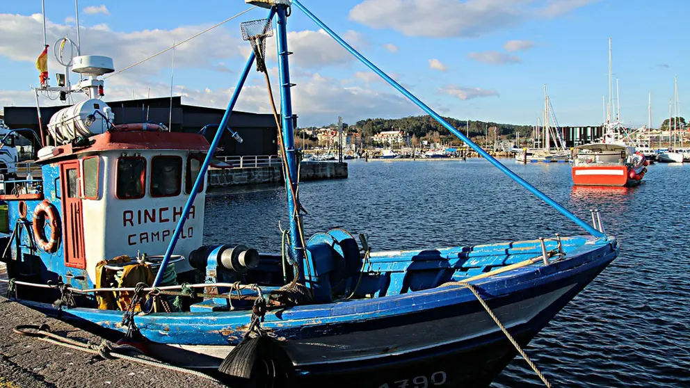 proxectos empresariais que promovan o desenvolvemento da contorna da R&iacute;a de Pontevedra.