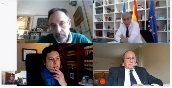 Videoconferencia del conselleiro Francisco Conde con representantes de Arigal.