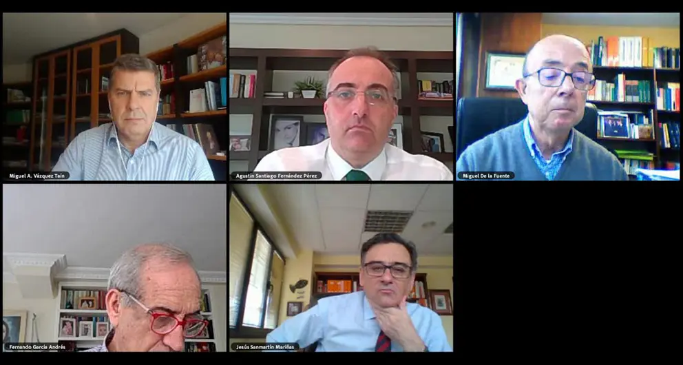 Miguel V&aacute;zquez Ta&iacute;n, Agust&iacute;n Fern&aacute;ndez, Miguel de la Fuente, Fernando Garc&iacute;a y Jes&uacute;s Sanmart&iacute;n, en la convocatoria online de los economistas.