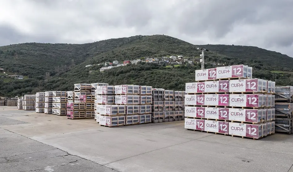 Una de las instalaciones de Cupa Group./M.RGUEZ.