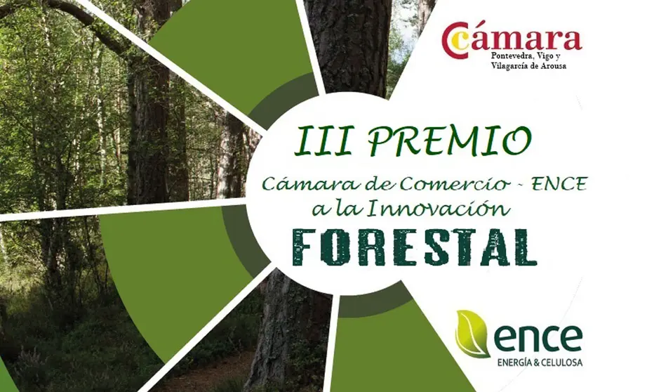 La C&aacute;mara de Pontevedra, Vigo y Vilagarc&iacute;a y Ence convocan el III Premio a la Innovaci&oacute;n Forestal.