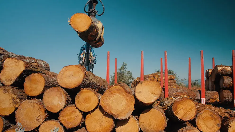 El proyecto ChainWood desarrolla una soluci&oacute;n blockchain para hacer m&aacute;s eficiente al sector forestal .