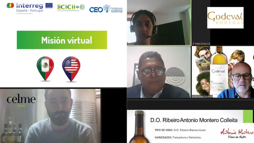 Im&aacute;genes de algunos de los encuentros virtuales celebrados en el marco de la misi&oacute;n comercial.
