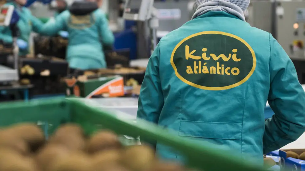 Kiwi Atl&aacute;ntico mejorar&aacute; la zona de recepci&oacute;n de la fruta, as&iacute; como la zona de stock de sus instalaciones en Ribadumia.
