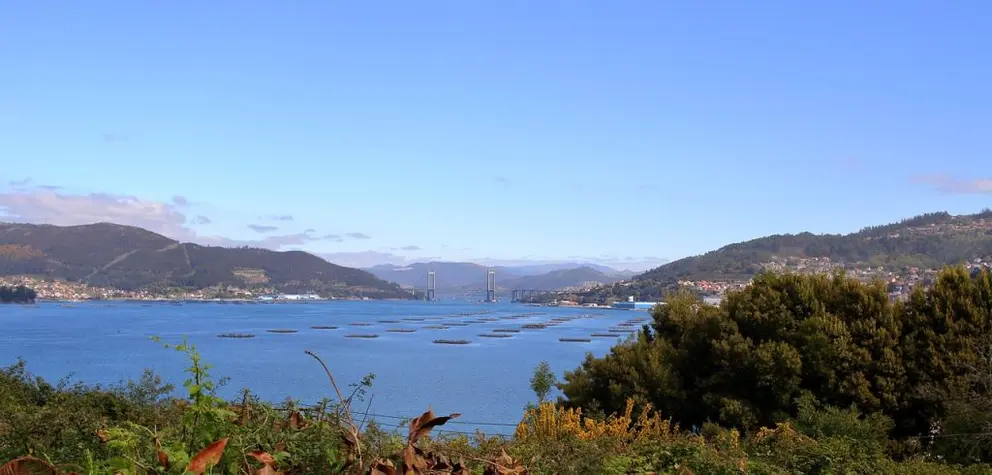 Las organizaciones empresariales reclaman que se tenga en cuenta las singularidades de la costa gallega. En la imagen, r&iacute;a de Vigo./rosenmascara en Pixabay.
