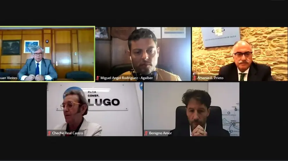 Algunos de los asistentes al webinar de la CEG.