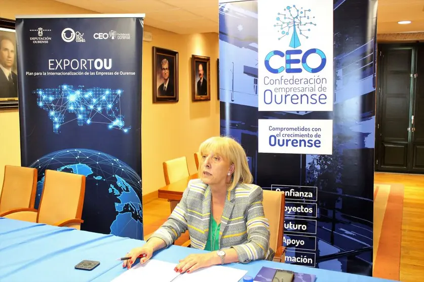 Marisol N&oacute;voa, presidenta de la CEO, particip&oacute; en la jornada sobre las ayudas a las energ&iacute;as fotovoltaicas del Inega.