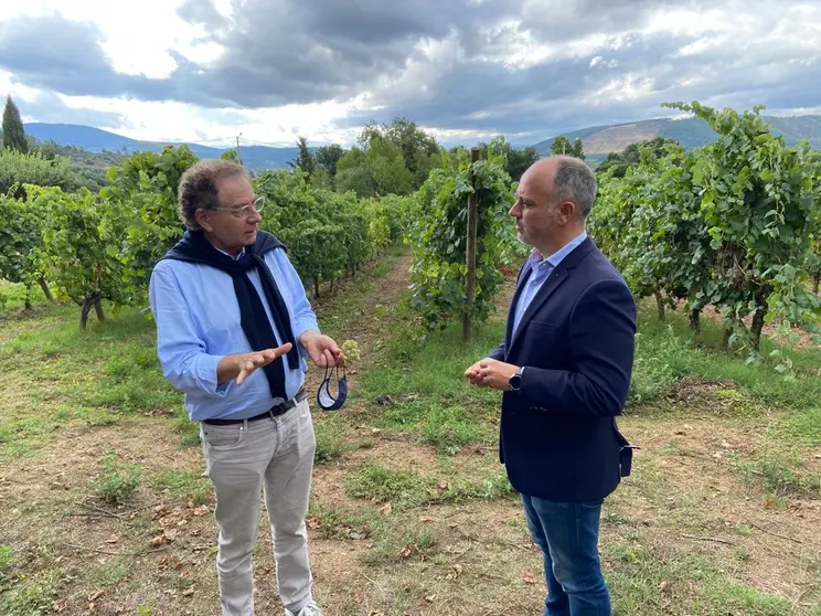 Roberto Verino y David Regades en los vi&ntilde;edos de Bodega Gargalo, en Monterrei.