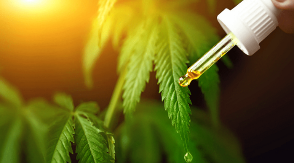 <p> Mejores sitios para comprar CBD en Galicia </p>