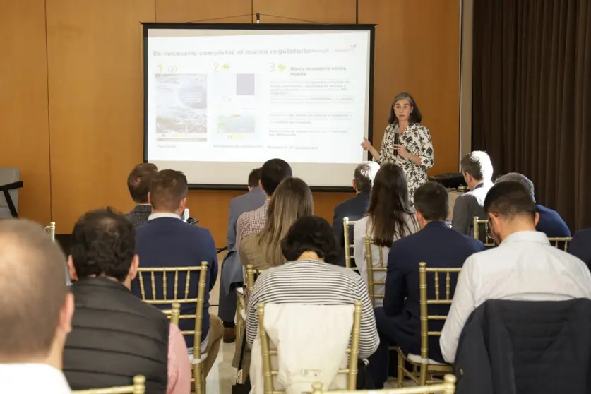 Mar&iacute;a Landeira, delegada de renovables de Galicia de Naturgy, en un momento de la jornada organizada por Cluergal.