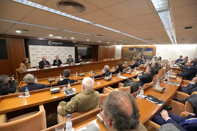 Alfonso Rueda particip&oacute; en una reuni&oacute;n del pleno de la C&aacute;mara de A Coru&ntilde;a.