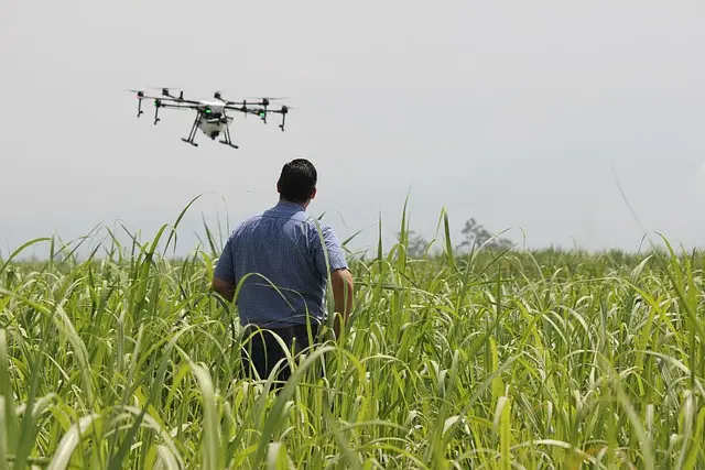 La iniciativa E-Learning Data quiere tambi&eacute;n poner a disposici&oacute;n de las empresas gallegas la experimentaci&oacute;n y desarrollo de aplicaciones que, basadas en datos procedentes de distintas plataformas de observaci&oacute;n (sat&eacute;lites o drones), mejoren las capacidades de innovaci&oacute;n del sector agro.
