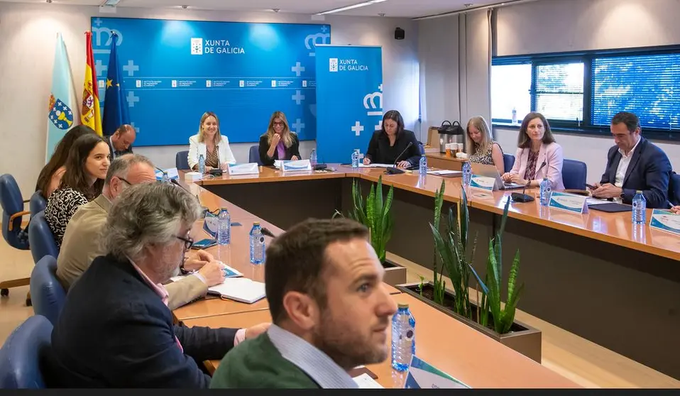Reuni&oacute;n do Comit&eacute; Executivo de Proxectos Tractores e Infraestruturas