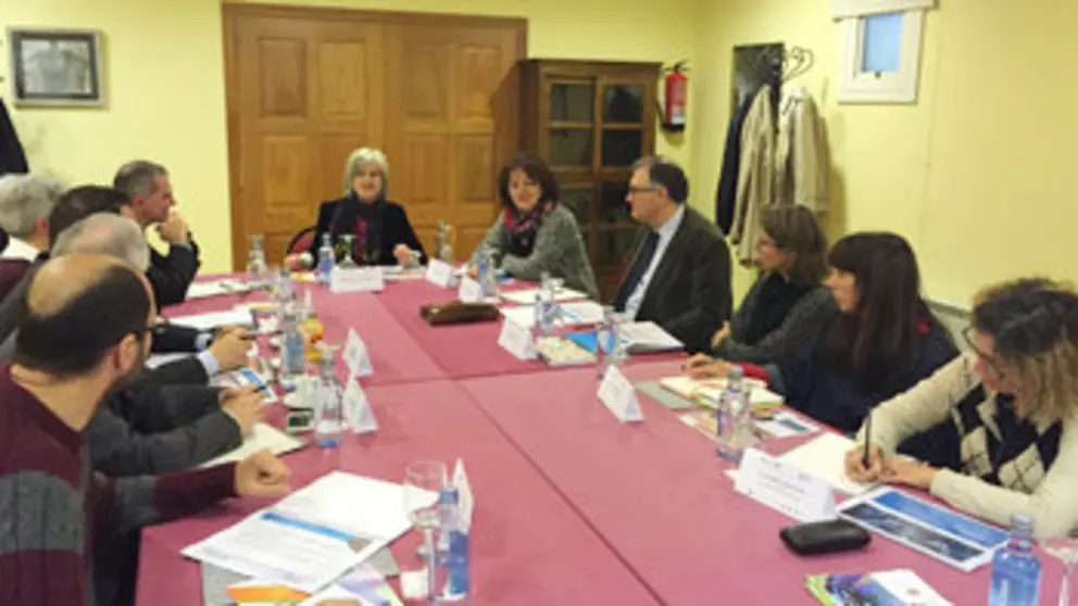 La secretaria xeral de Emprego en la reuni&oacute;n con los socios del proyecto Laces.