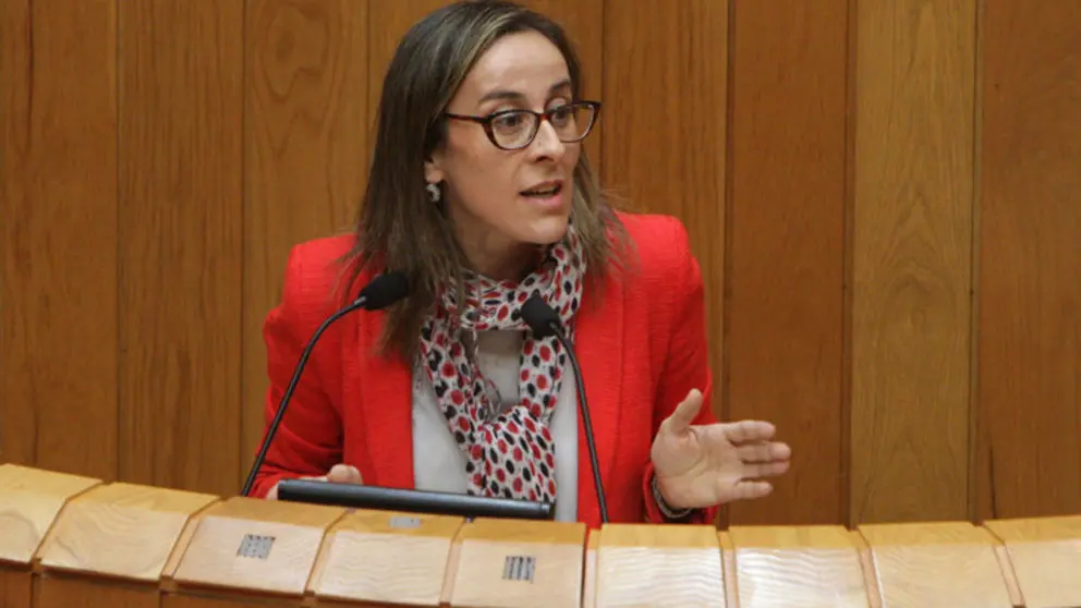 La conselleira Ethel V&aacute;zquez en el Parlamento./C.P.