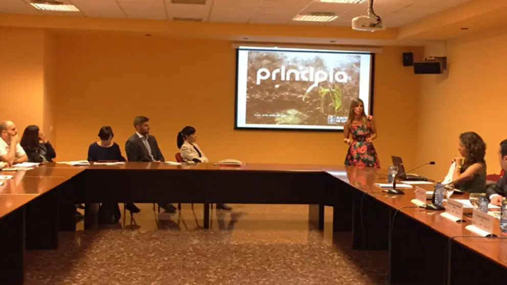 Presentaci&oacute;n de las ayudas del Programa Principia en Vigo.