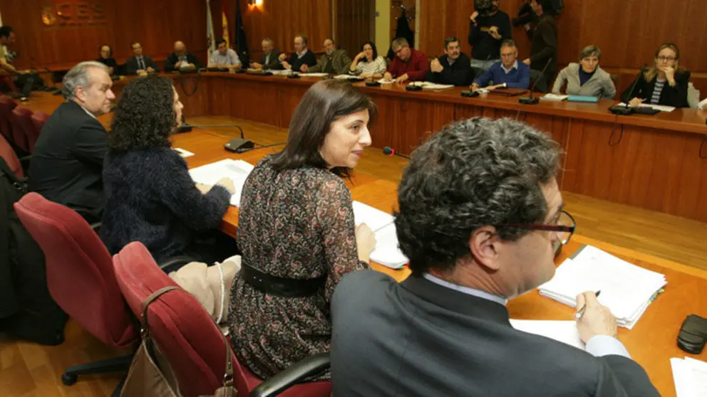 En primer t&eacute;rmino, la conselleira &Aacute;ngeles V&aacute;zquez en la reuni&oacute;n del Consello Forestal de Galicia.
