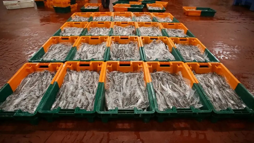Opromar presentar&aacute; en el sal&oacute;n  diversos platos elaborados con mince.
