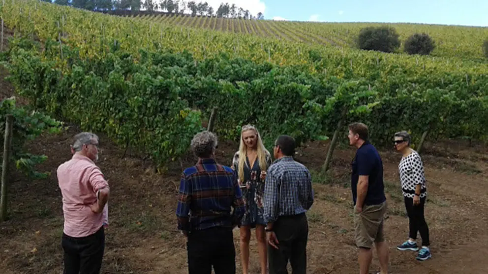Una visita de prescriptores a una bodega de la DO R&iacute;as Baixas.
