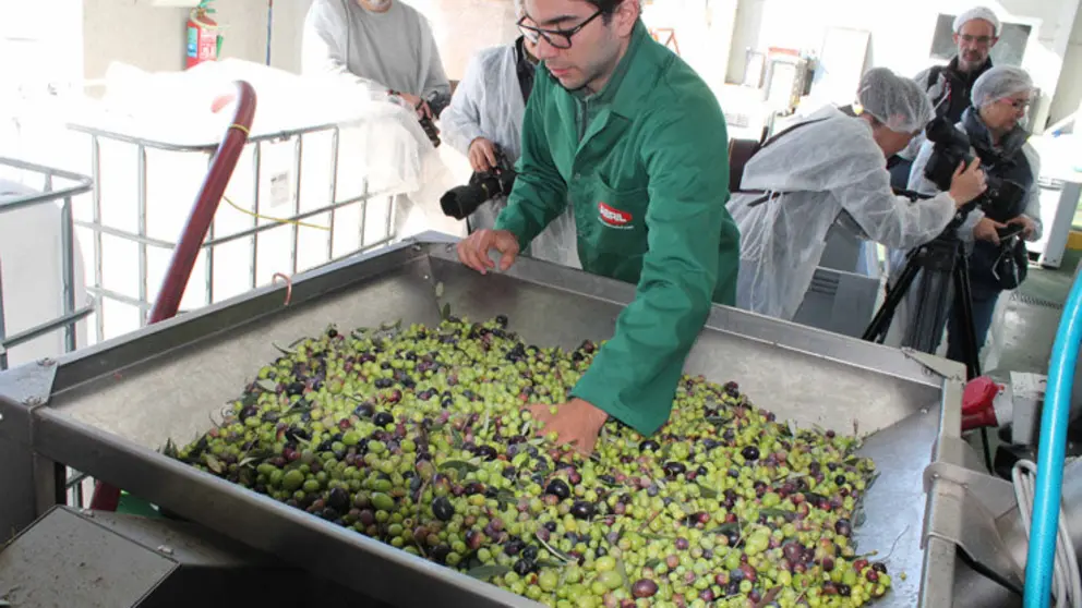 Almazara de Aceites Abril.