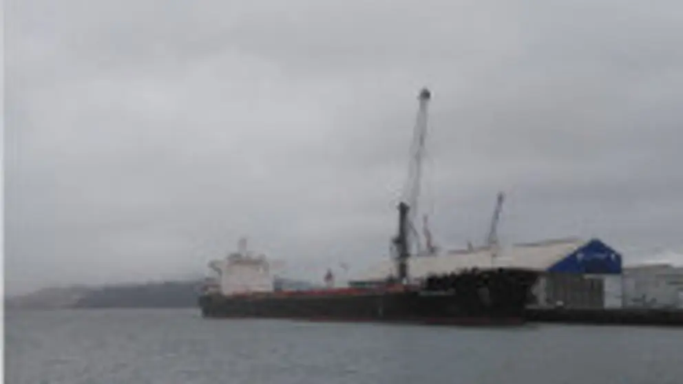 Descarga de graneles en el Puerto de Mar&iacute;n.
