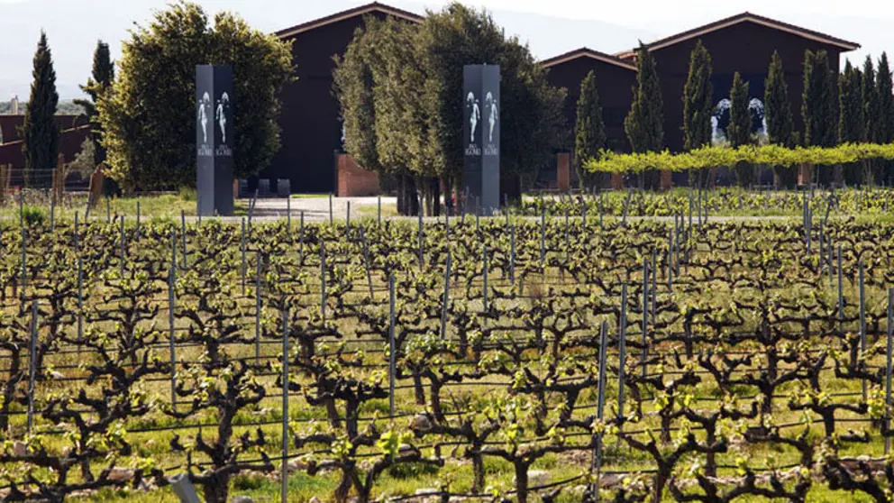 Bodega y vi&ntilde;edos adquiridos por Terras Gauda en La Rioja.