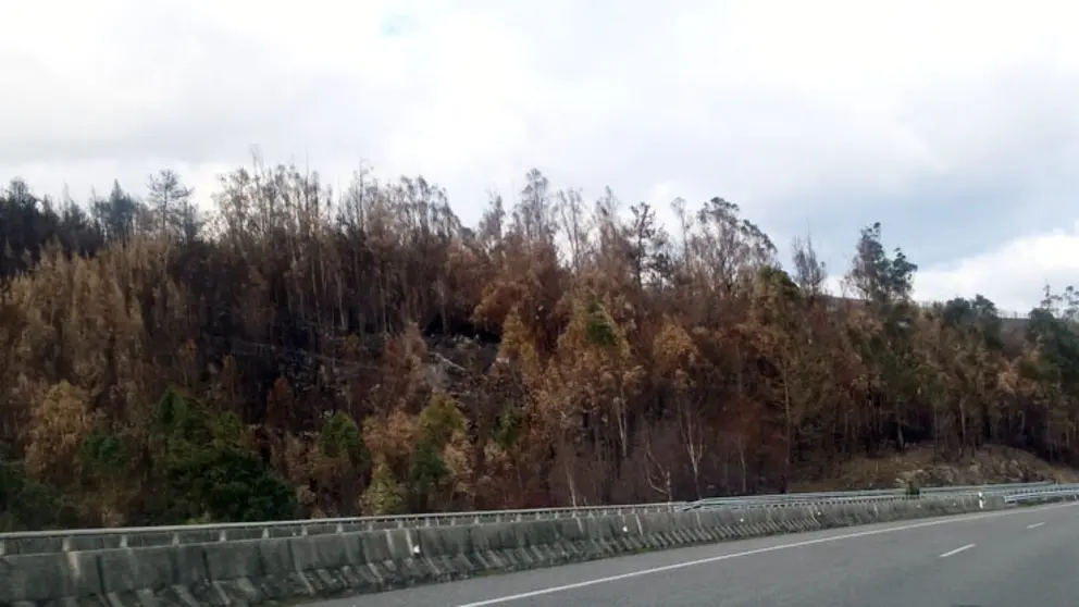 Montes quemados en los incendios de octubre.