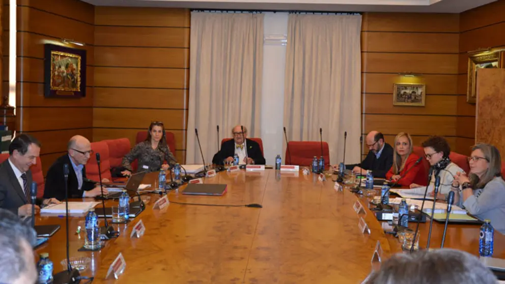El Pleno del Consorcio de la Zona Franca estuvo presidido por el alcalde de Vigo, Abel Caballero.
