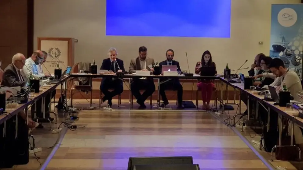 Reuni&oacute;n del Comit&eacute; Consultivo del LDAC, en Roma.