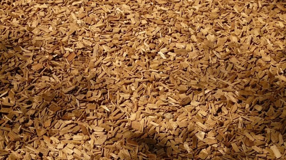 La planta de Greenalia Woodchips tiene una capacidad de producci&oacute;n de 35.000 t/a&ntilde;o de astilla.