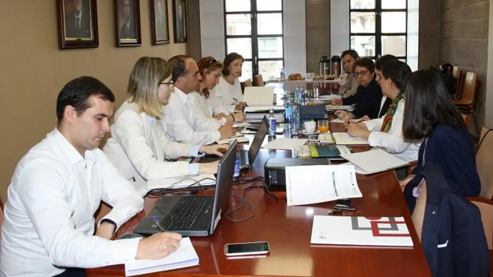 Los socios del proyecto ECICII+, reunidos en Ourense.