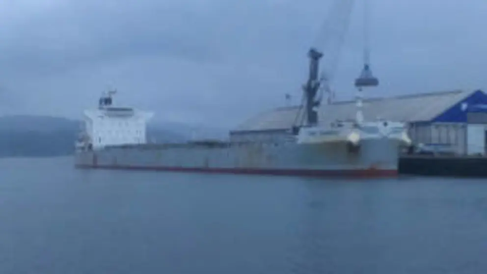 El One Energy descargar&aacute; toda esta semana en el Puerto de Mar&iacute;n.
