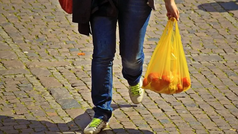 La jornada sobre &ldquo;Reducci&oacute;n del consumo de bolsas de pl&aacute;stico. Obligaciones empresariales&rdquo;, tendr&aacute; lugar e lmartes 17 de julio.