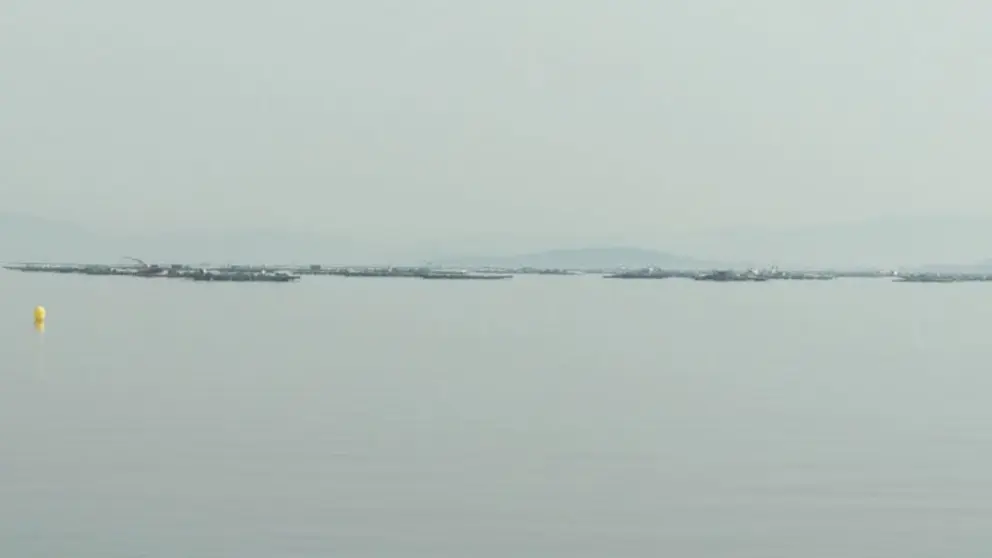 Bateas en la r&iacute;a de Arousa.