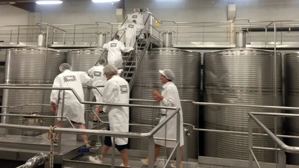 Visita a una bodega de R&iacute;as Baixas.