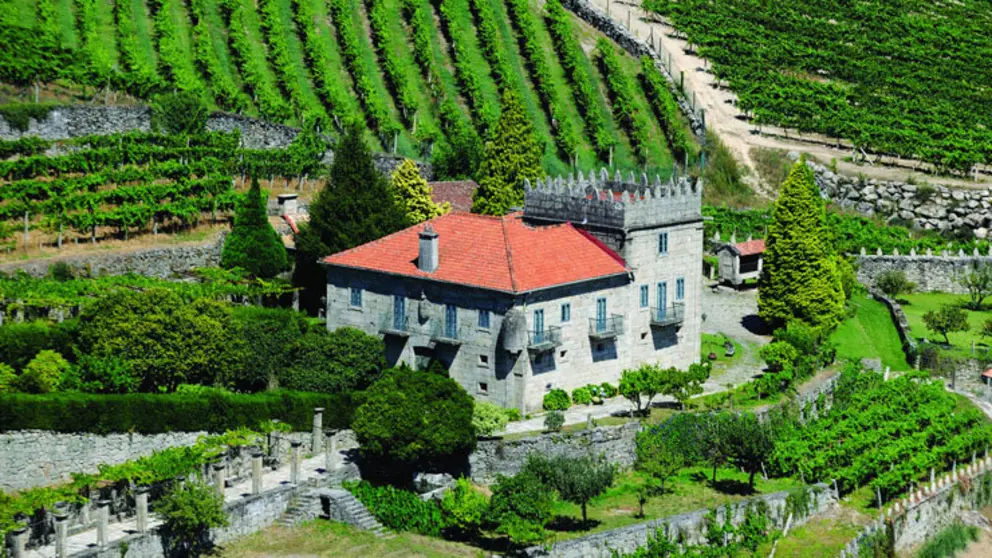 Vi&ntilde;edos de Bodegas Marqu&eacute;s de Vizhoja.