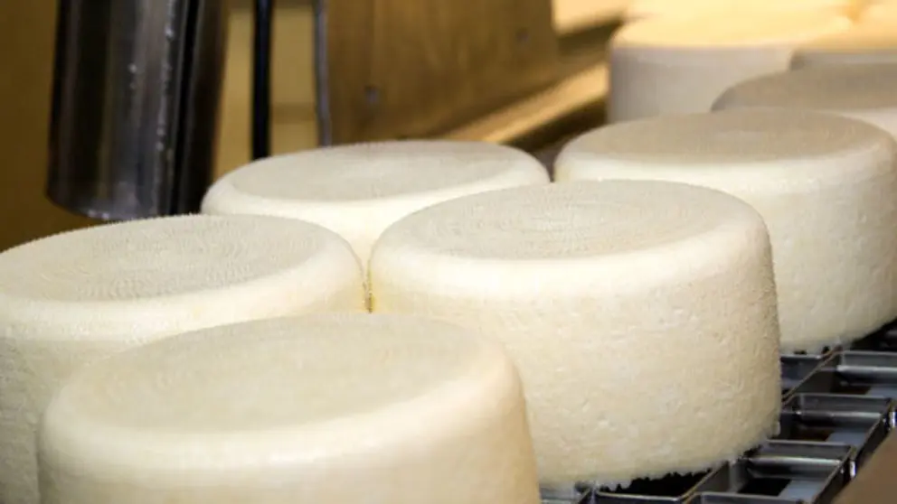 La aceleradora busca crear compa&ntilde;&iacute;as innovadoras en la cadena de valor del sector de la alimentaci&oacute;n.