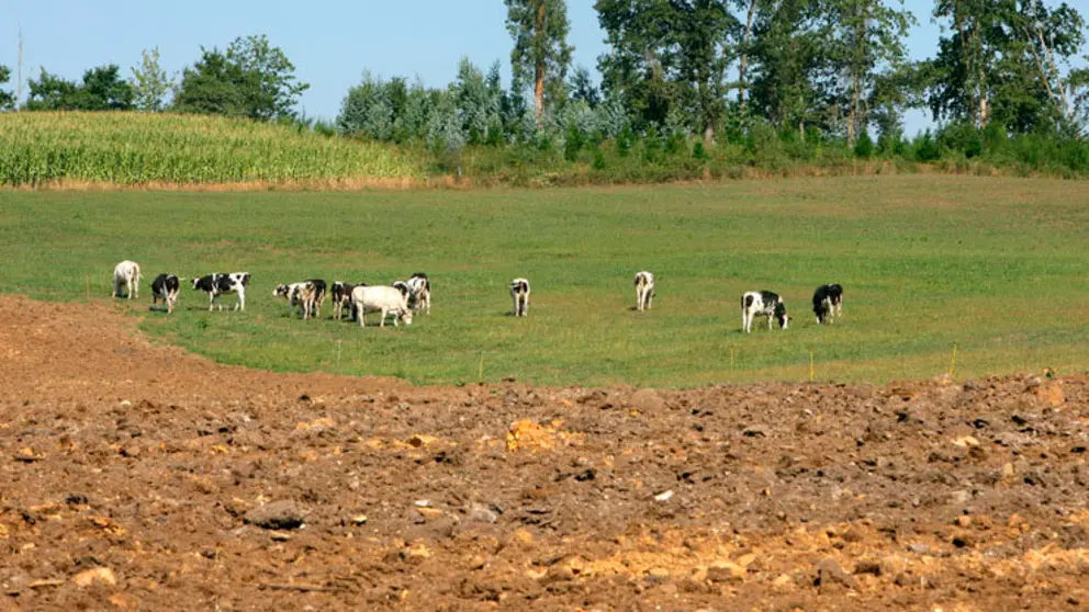 El m&aacute;ximo reconocimiento en la categor&iacute;a ambiental respalda la labor de extracci&oacute;n de cuarzo que ha llevado a cabo Erimsa en Frades y la comarca de Ordes.