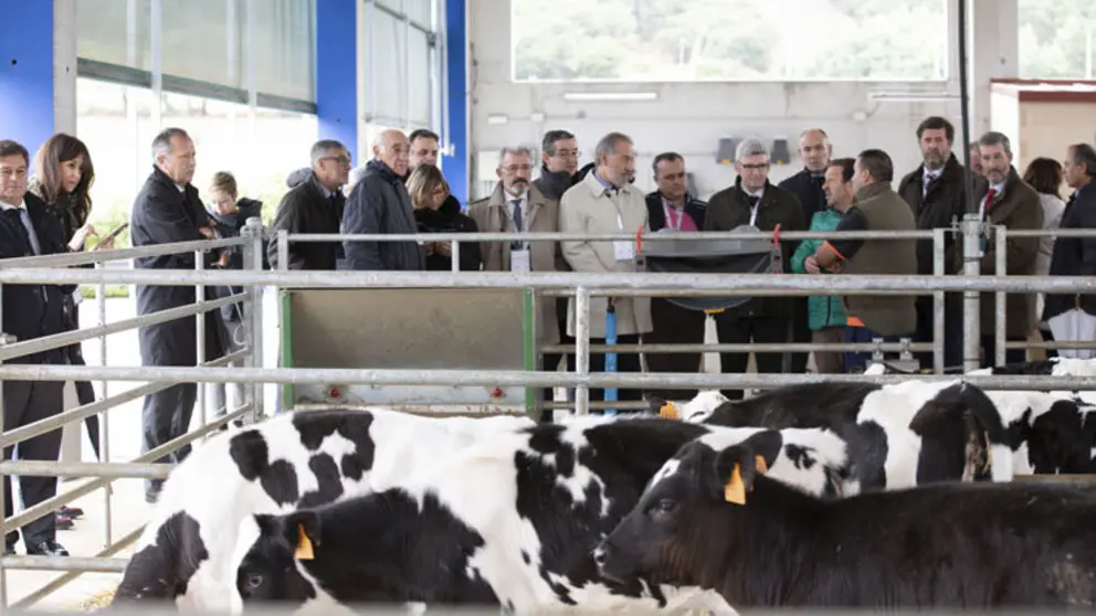 Miembros del C&iacute;rculo de Confianza de Fundaci&oacute;n Inade visitaron la explotaci&oacute;n agraria Busto-Corz&oacute;n, en Mazaricos (A Coru&ntilde;a).
